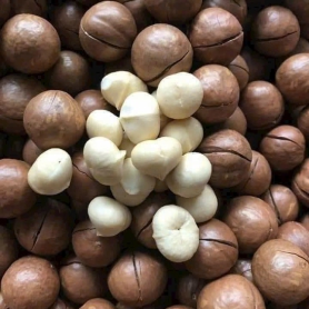 Hạt macca úc