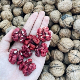 Quả óc chó đỏ mỹ