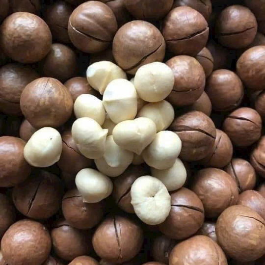 Hạt macca úc
